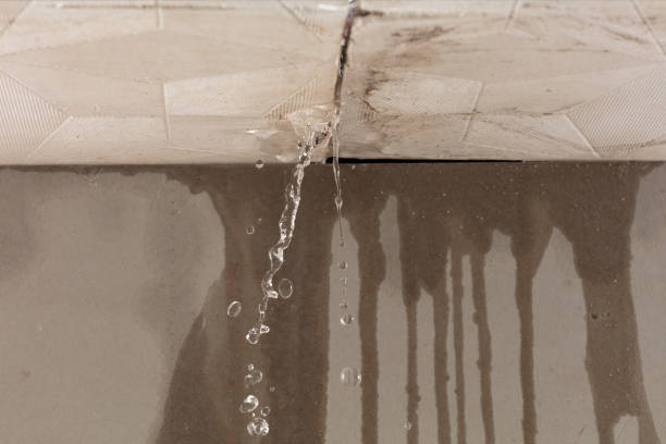 Professional Water Damage Inspection technician working in Sunnyvale, TX